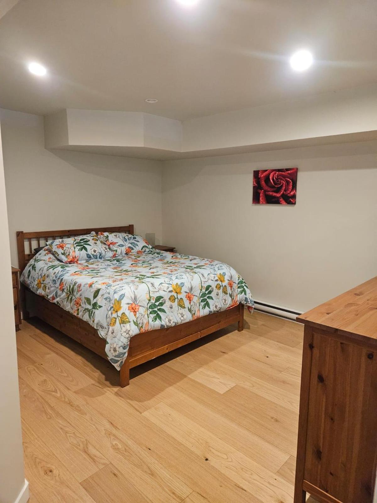 Lovely 1 Bedroom Suite Near Town Victoria Exterior foto